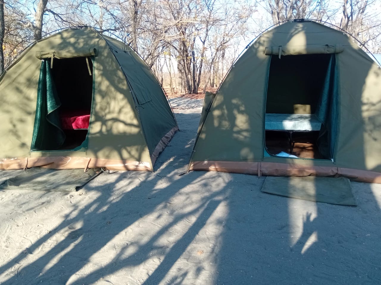 Safari tents at the campsite